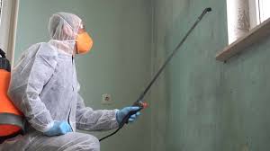 Best Commercial Mold Inspection  in Sanatoga, PA