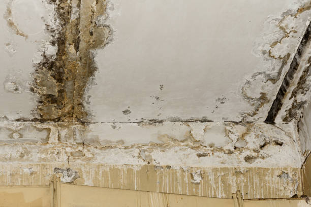 Asbestos and Lead Testing During Mold Inspection in Sanatoga, PA